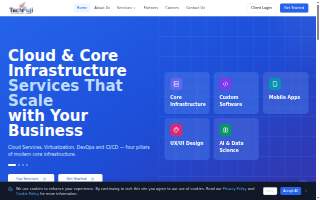 TechFuji LLC website