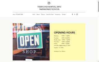 Tiger Choi Martial Arts, Taekwondo website