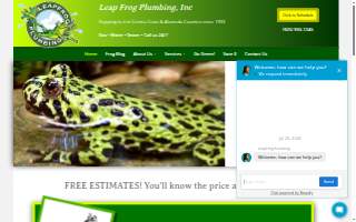 LeapFrog Plumbing, Inc. website