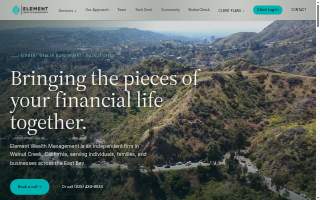 Element Wealth Management website