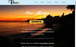 Flux Acupuncture Lounge website