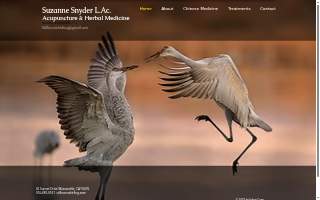 Suzanne Snyder Acupuncture website