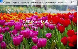 Carina Floral website