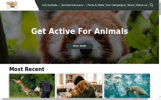 Animal feed store website