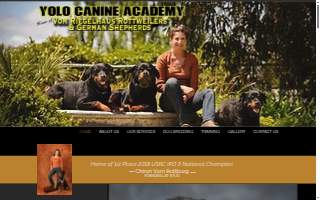 Yolo Canine Academy of Woodland website