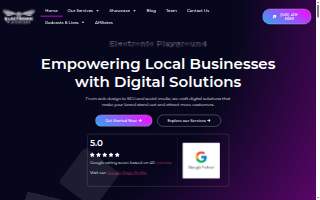 Electronic Playground Website Design and Marketing website