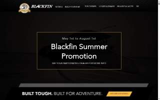 BlackFin IRS Solutions website