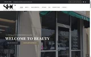 Salon De Cheveux website