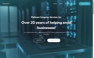 Platinum Computer Services, Inc. website