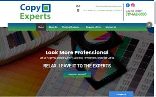 Copy Experts website