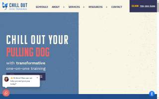 Chill Out Dog Training South Denver website