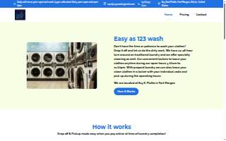 Easy as 123 wash #2 website