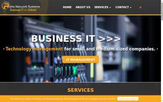 Alpha Network Systems website