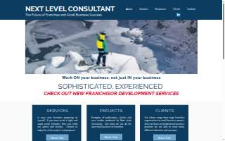 Next Level Consultant website