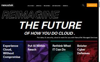 NexusTek website