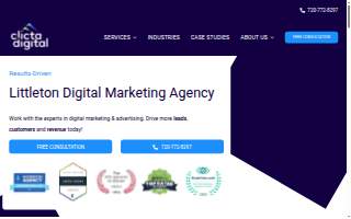 Clicta Digital Agency website