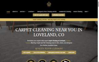 Mad Dog Carpet and Tile Cleaning, LLC website