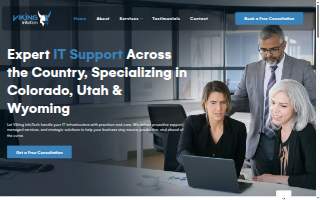 Viking InfoTech LLC website