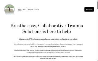 Collaborative Trauma Solutions website