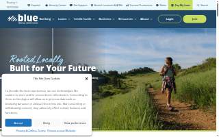 Blue Federal Credit Union - Superior Marketplace website
