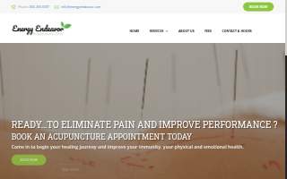Energy Endeavor website