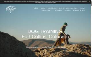 Summit Dog Training LLC of Windsor website