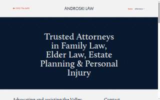 Androski Law Firm website