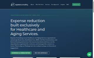 Expense Consulting, Ltd. website