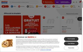 Metro Tech Solutions website
