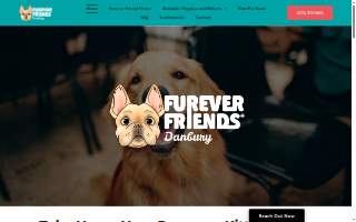 FurEver Friends Danbury website