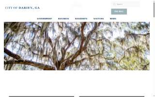 Darien Flowers website