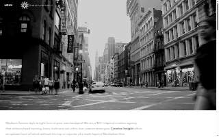 Creative Insight website