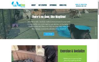 Wagtime Play and Stay of Glastonbury website
