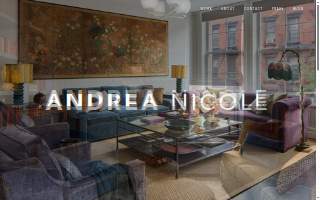 Andrea Nicole Interiors website