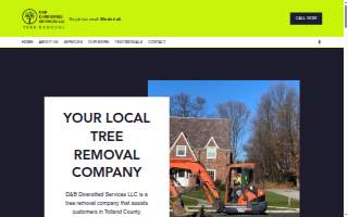 D&B diversified services llc website