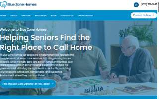 Blue Zone Homes website