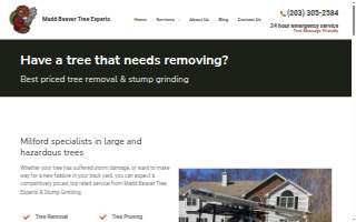 Madd Beaver Tree Experts & Stump Grinding Service of Milford website