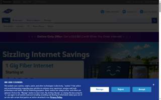 TDS (The Detail Shop) of Milford website
