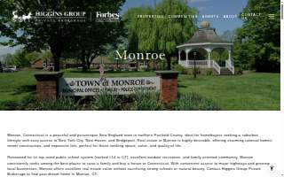 Higgins Group website
