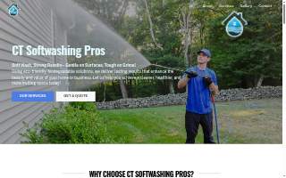 CT Soft Washing Pros website