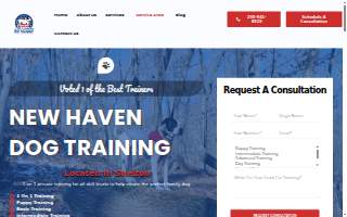 Clark's Companion Dog Training LLC of New Haven website