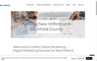 Hallon Havre Marketing LLC website
