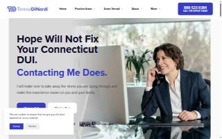 Attorney Teresa DiNardi website