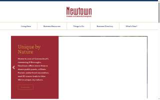 Newtown Nail Spa website