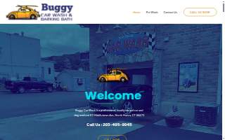 Buggy Car Wash and The Barking Bath website