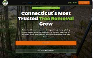 Tree Wise Guys of CT LLC website