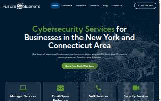 Future Subnets website