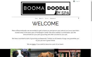 Boomadoodle Spa website