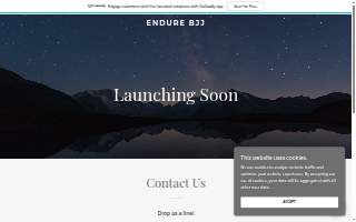 Endure Brazilian Jiu-Jitsu Acadamy website