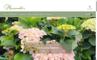Moscarillo's Garden Shoppe website